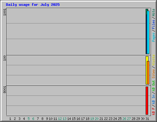 Daily usage for July 2025