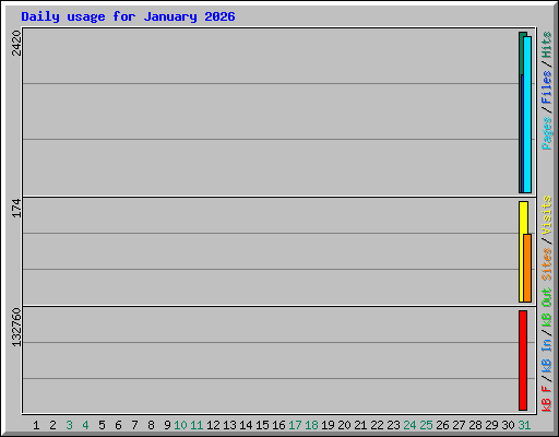 Daily usage for January 2026