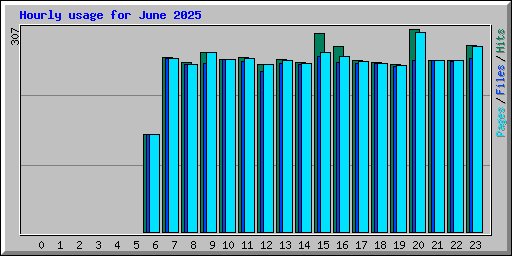Hourly usage for June 2025