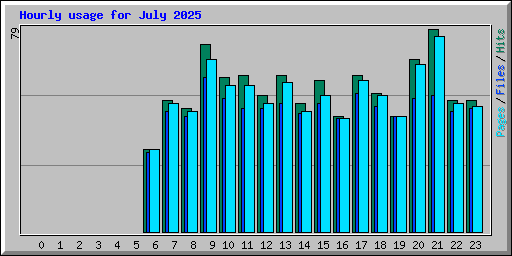 Hourly usage for July 2025