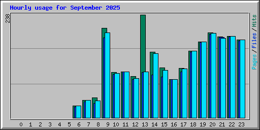 Hourly usage for September 2025
