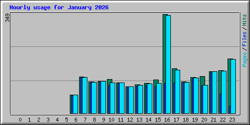 Hourly usage for January 2026